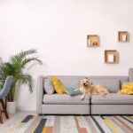 Affordable Home Decor Tips That Elevate Modern Style and Everyday Comfort Easily